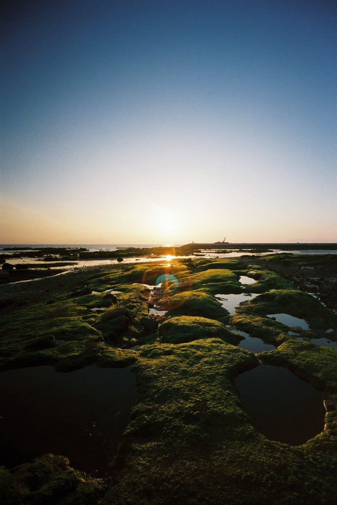 焼野海岸　１