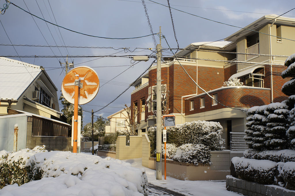 雪の朝　2011