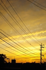 ふと見上げた空