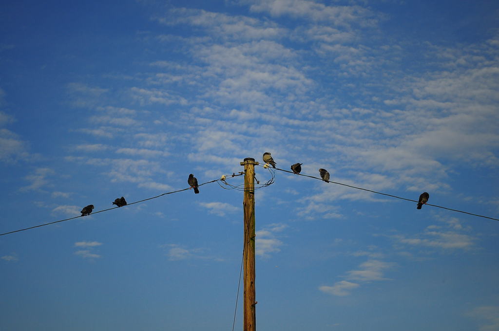 Dove airport