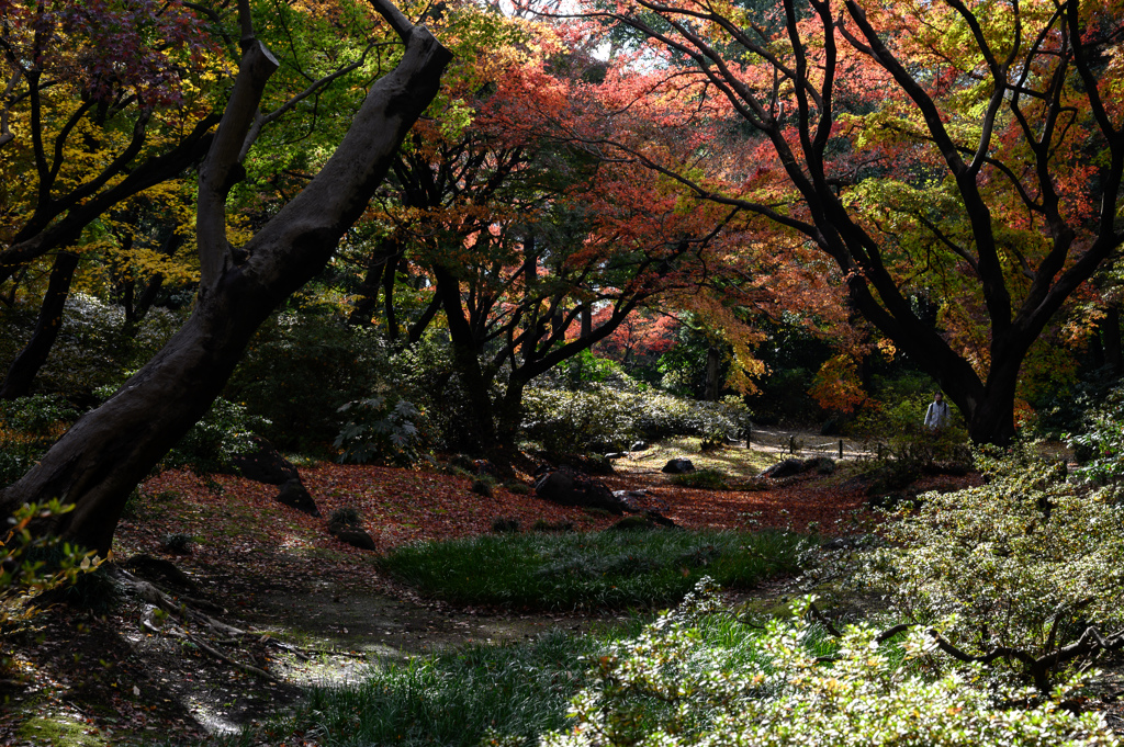 六義園