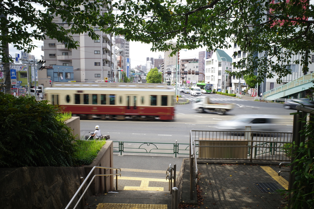 都電荒川線（飛鳥山公園より）