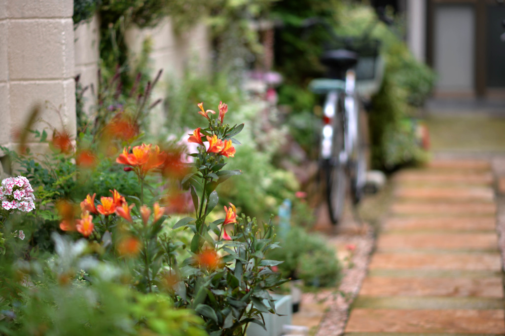 花のある風景