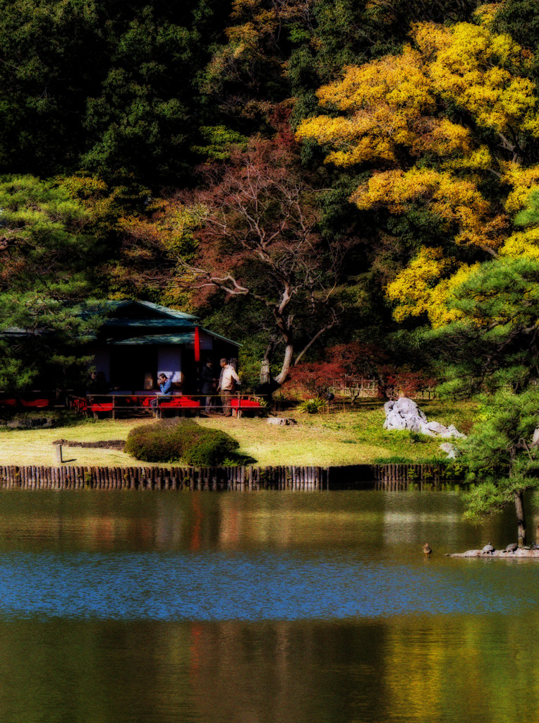 六義園池のある風景_edited-1