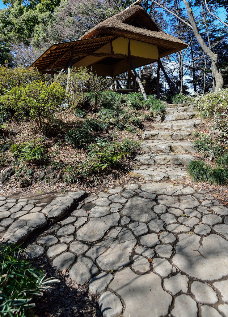 つつじ茶屋への道