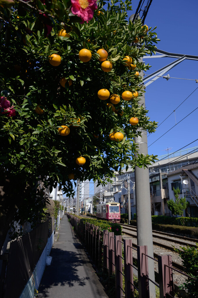 線路沿いの道