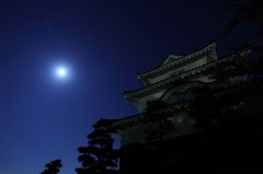 月明かりの丸亀城