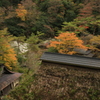郷愁