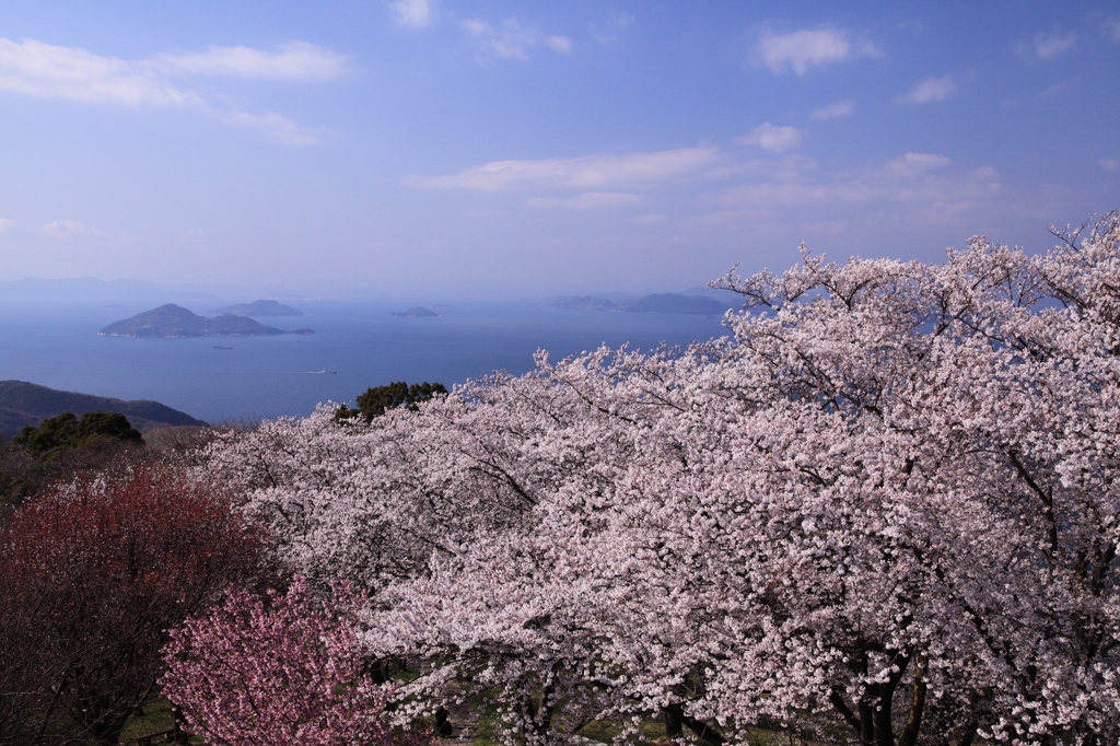 春風の瀬戸