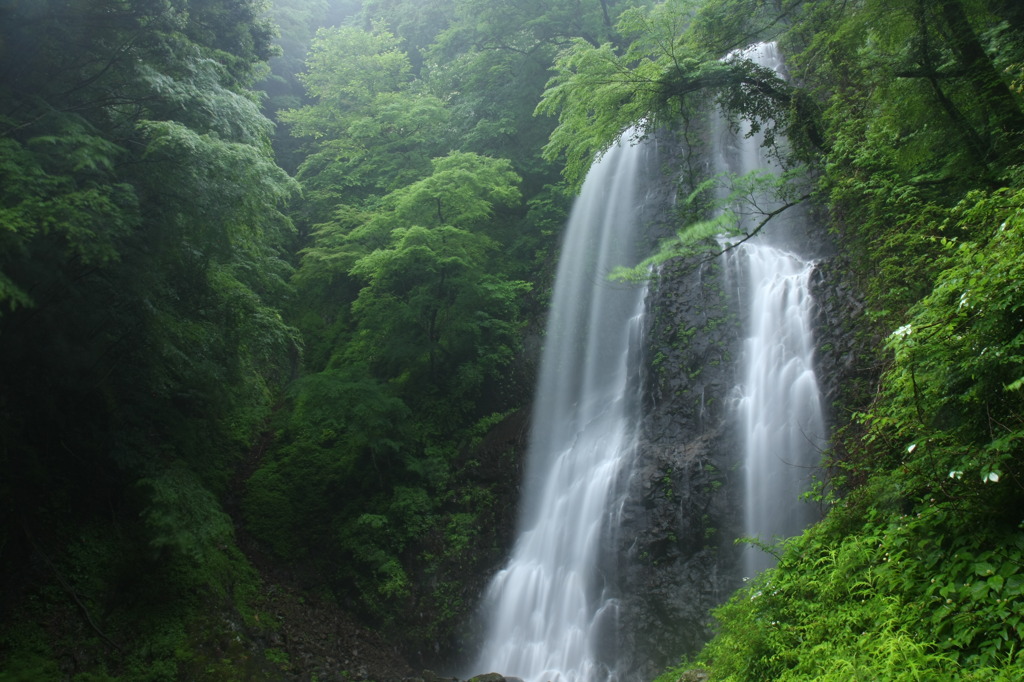 白猪の滝