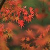 出会いの歓び