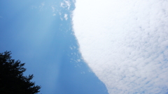 雲打ち際