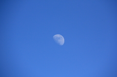 Day and Moon