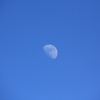 Day and Moon