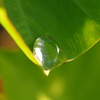 恵みの雨