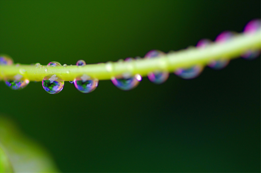 七色の水玉