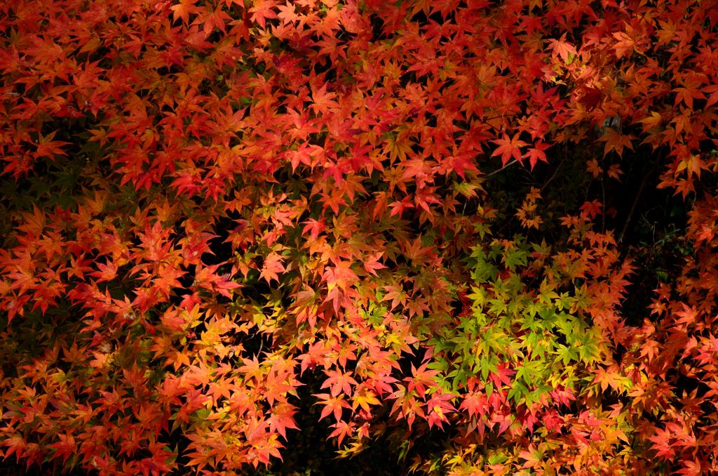 時