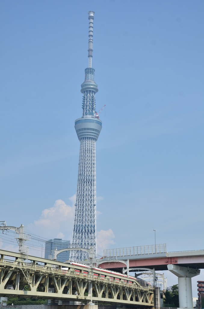 スカイツリー
