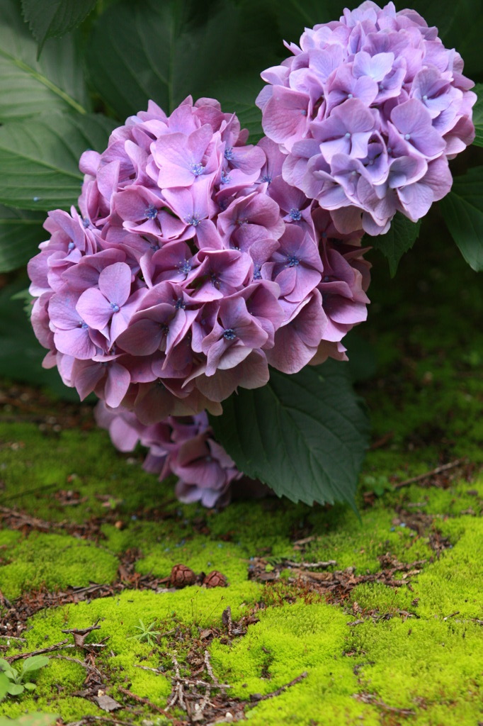 休息