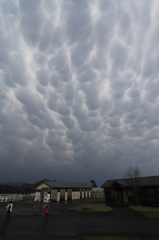 何雲？