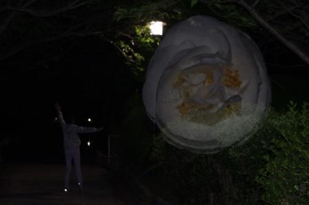 椿とお母さん