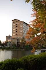 IMGP0899