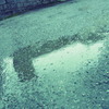 雨休み
