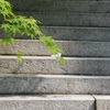 願う