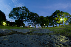 夜の公園