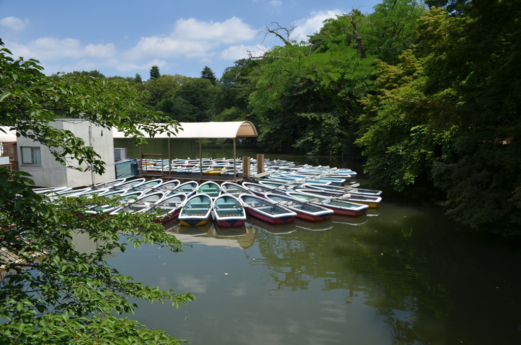 井の頭公園
