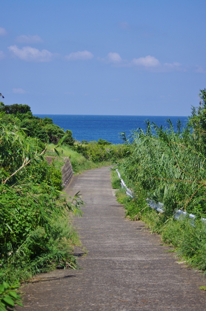 海へつづく道。