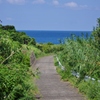 海へつづく道。