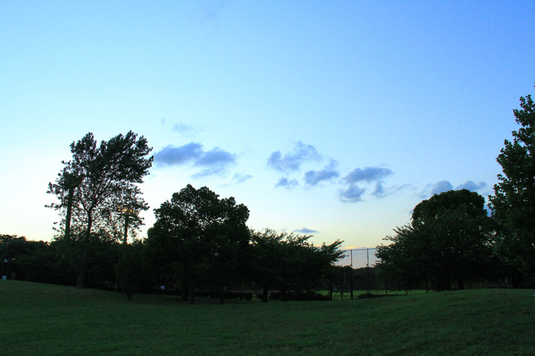 childhood　park