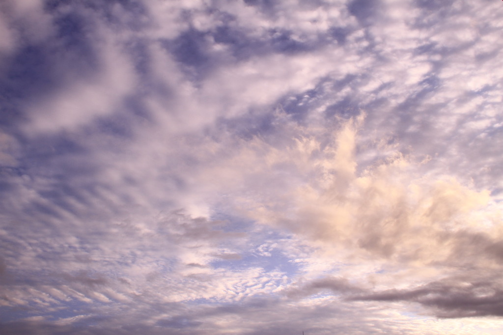 summer　sky　flutter