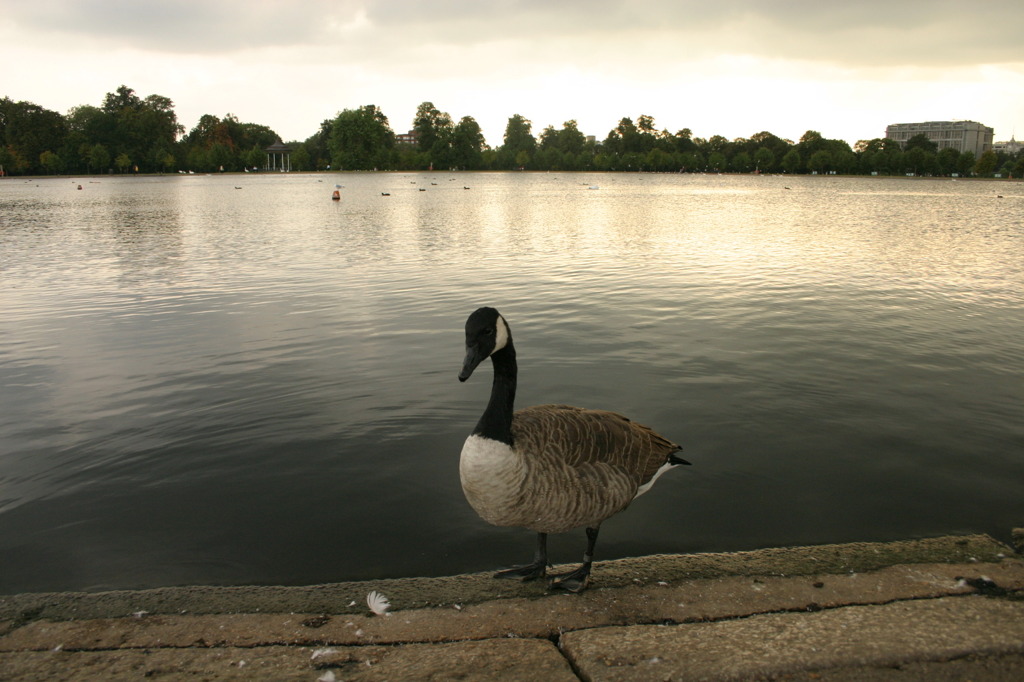 ロンドンの公園にて
