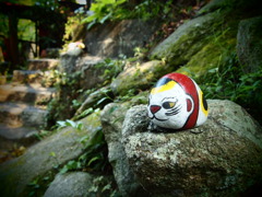 一匹ぽつんと・・・