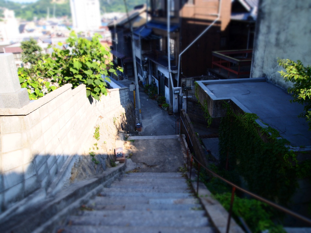 トイ風