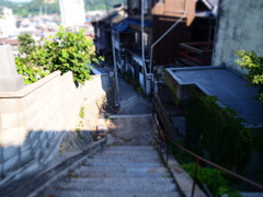 トイ風
