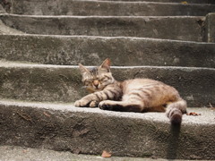 P6230435