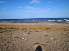 海2
