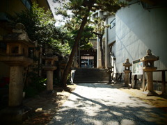 寺めぐり