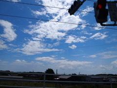 車内から