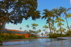 hawai 朝