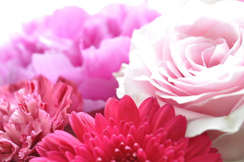 *pink*