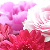 *pink*