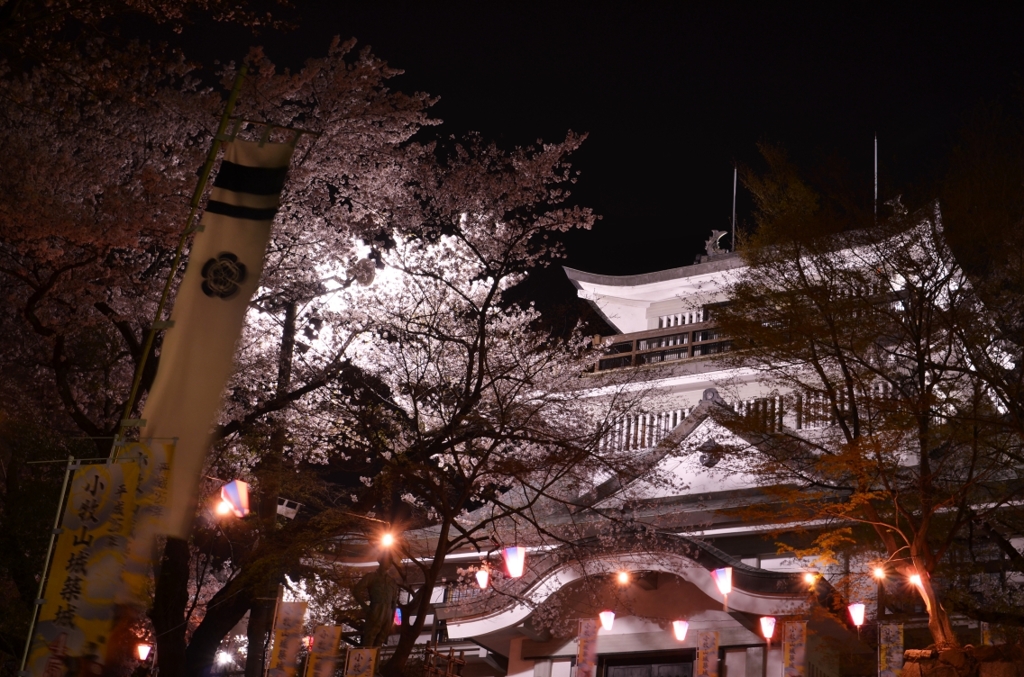 小牧山城さくらまつり