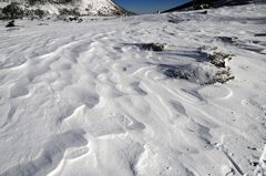 雪紋の庭へ