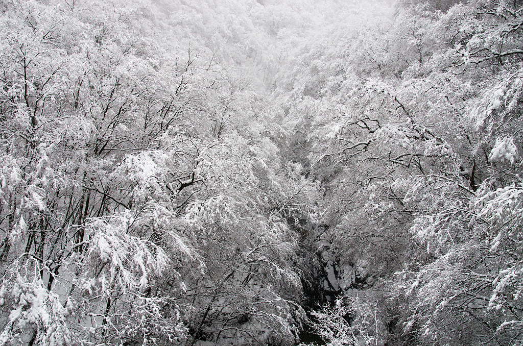 吾妻雪景