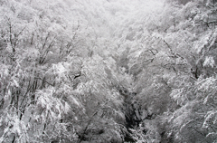 吾妻雪景