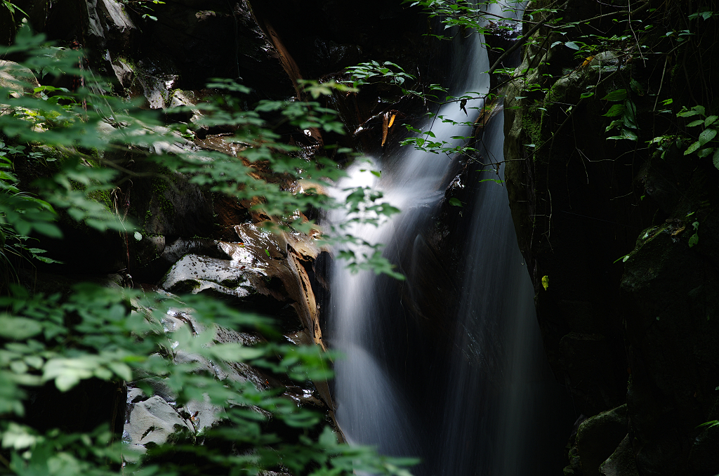 山の涼